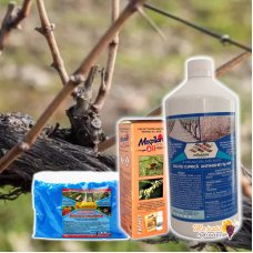 Pachet tratament REPAUS VEGETATIV pomi, vita de vie pentru 10 L apa (SULFAT DE CUPRU + MOSPILAN OIL + SOLUTIE ANTIINGHET)